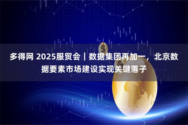 多得网 2025服贸会|数据集团再加一,北京数据要素市场建设实现关键落子